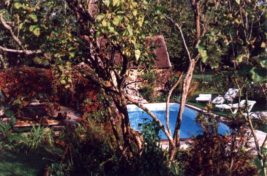 La piscine dans la verdure